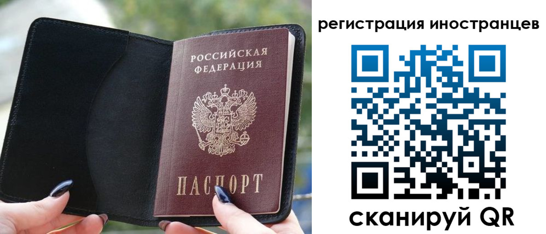 найти адрес прописки в Кохме